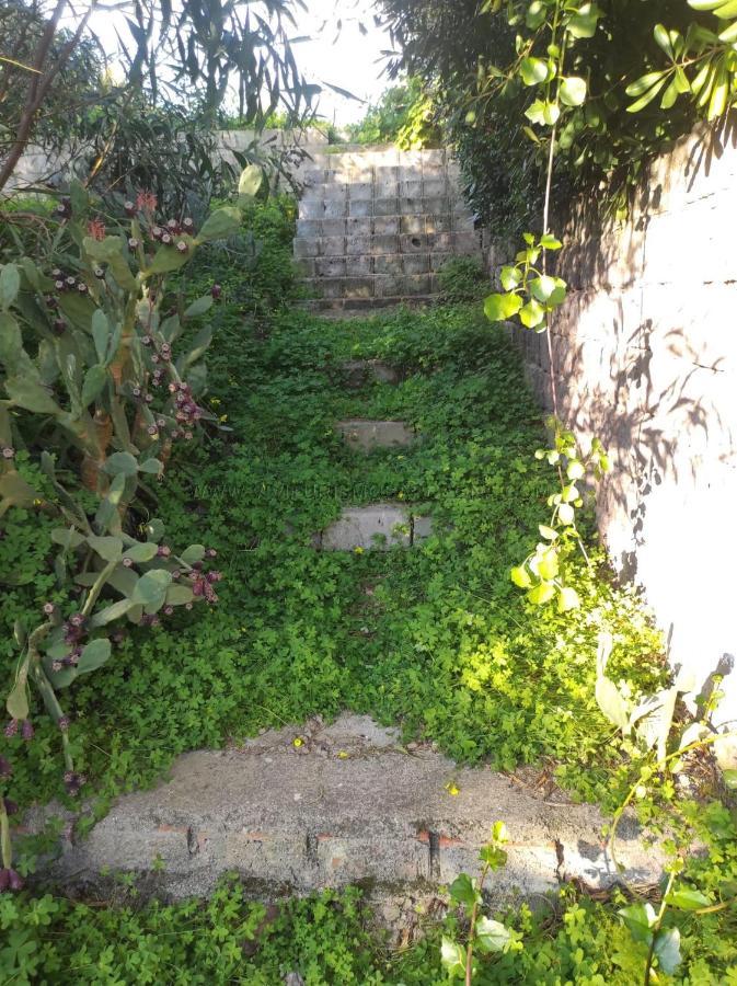 Appartamento Con Giardino Torre Dei Corsari Εξωτερικό φωτογραφία